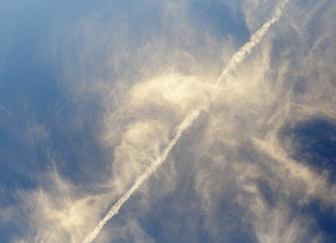 samedi rencontre photo