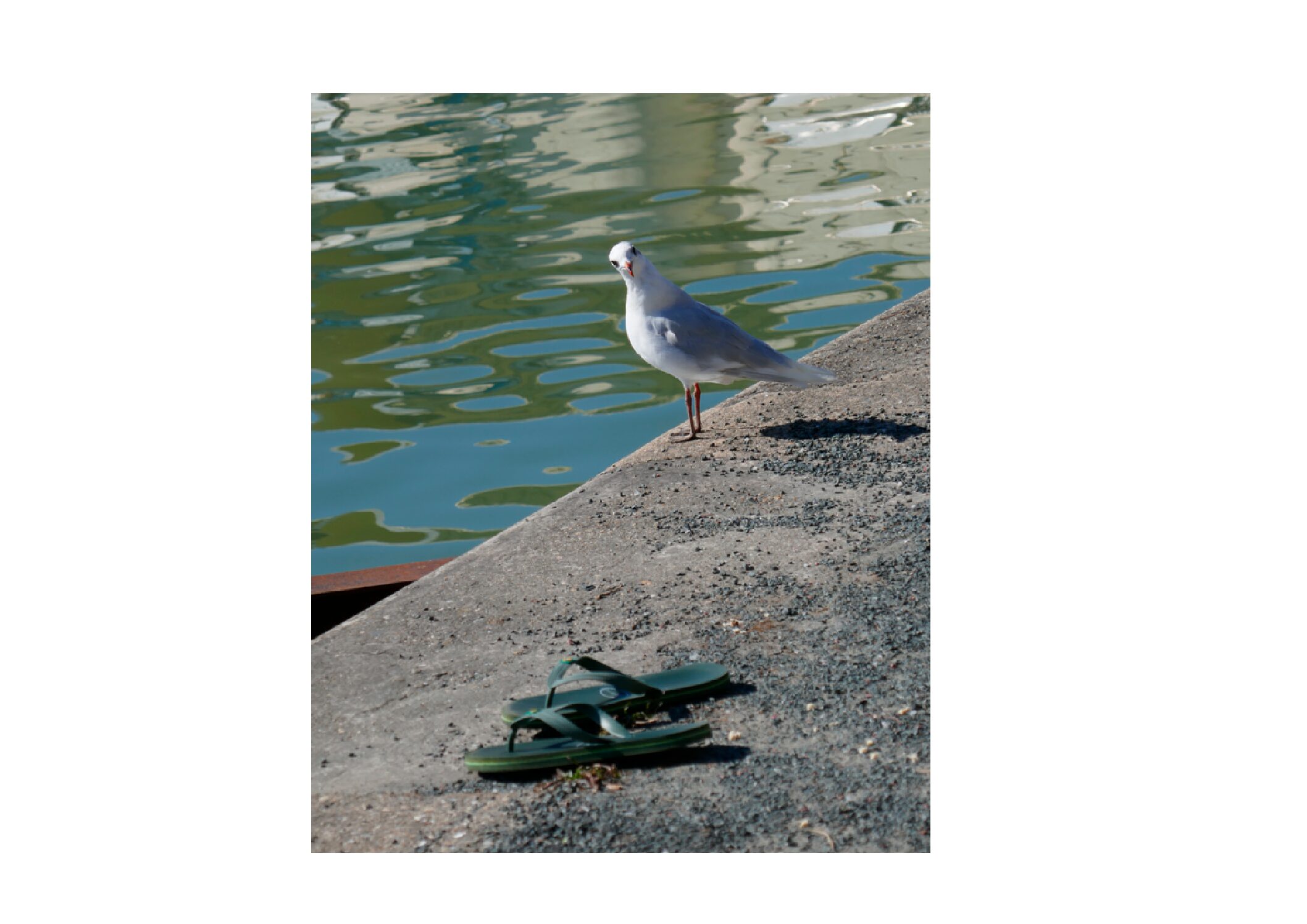 les samedis rencontre du labophoto